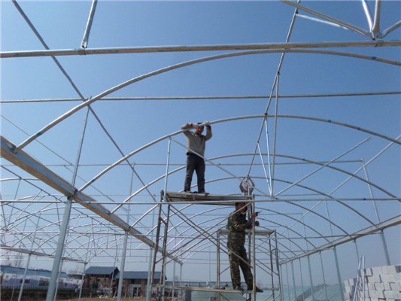 无土栽培：一种新型种植方式的探索与实践