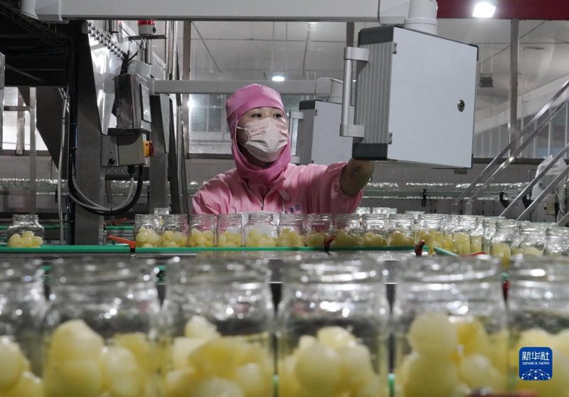 有机蔬菜：一场绿色革命的实践与分享